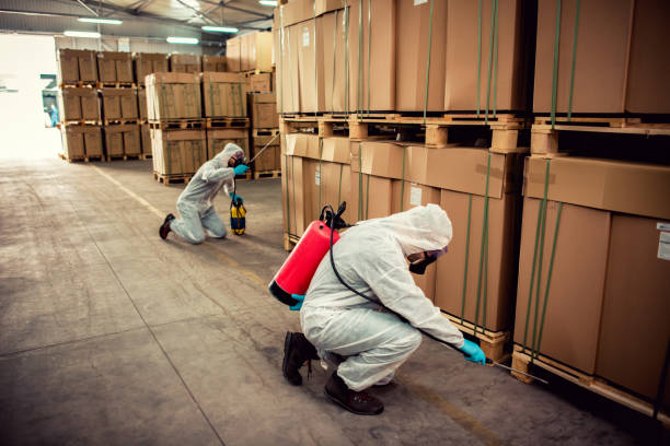 Trusted Osawatomie, KS Pest Control Experts