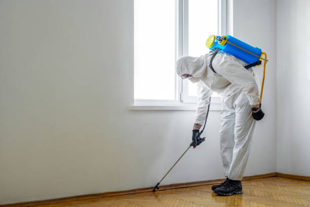 Best Residential Pest Control  in Osawatomie, KS