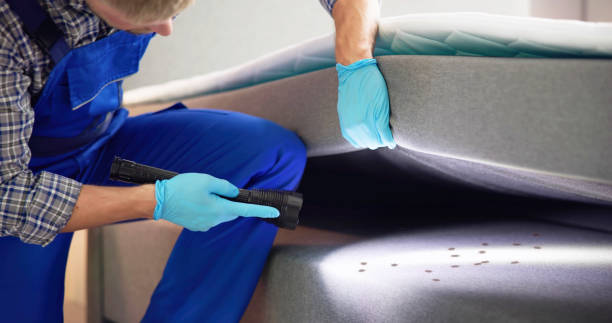 Professional Pest Control in Osawatomie, KS