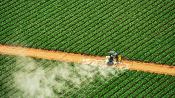 Best Termite Control Services  in Osawatomie, KS