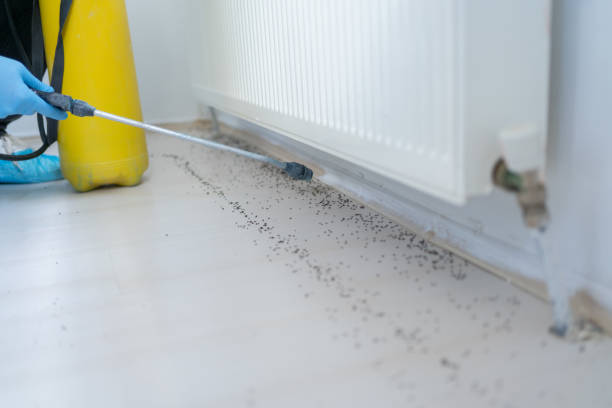 Best Exterminator Services  in Osawatomie, KS