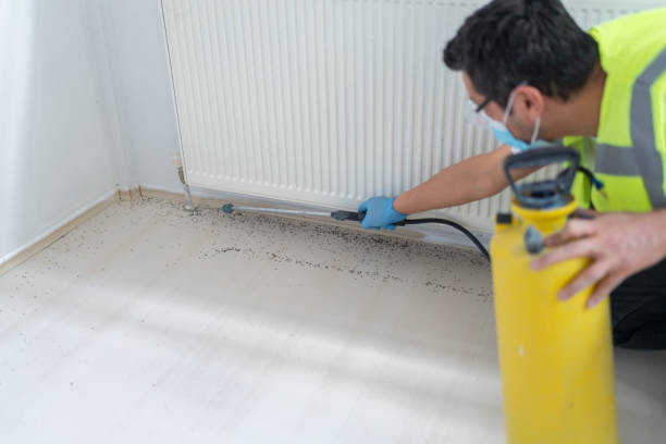 Best Flea Control Services  in Osawatomie, KS