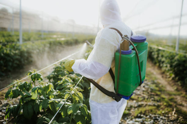 Best Bed Bug Extermination  in Osawatomie, KS